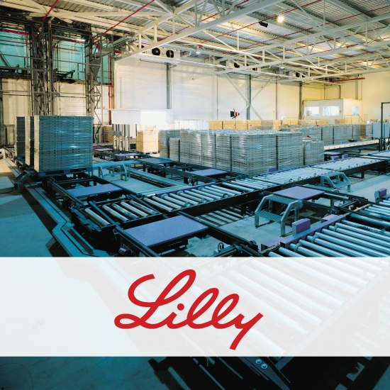  ULMA HANDLING SYSTEMS AUKERATU DU BERRIZ LILLY FARMAZEUTIKAK 